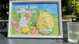 Лимонадное настроение: как мы провели День лимонада! 8